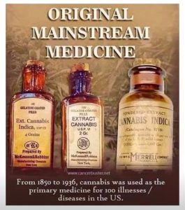 Cannabis as medicine in the past. CBD Pure Life. CBD Oils UK