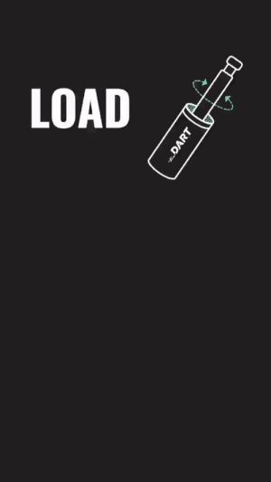 dart load pic